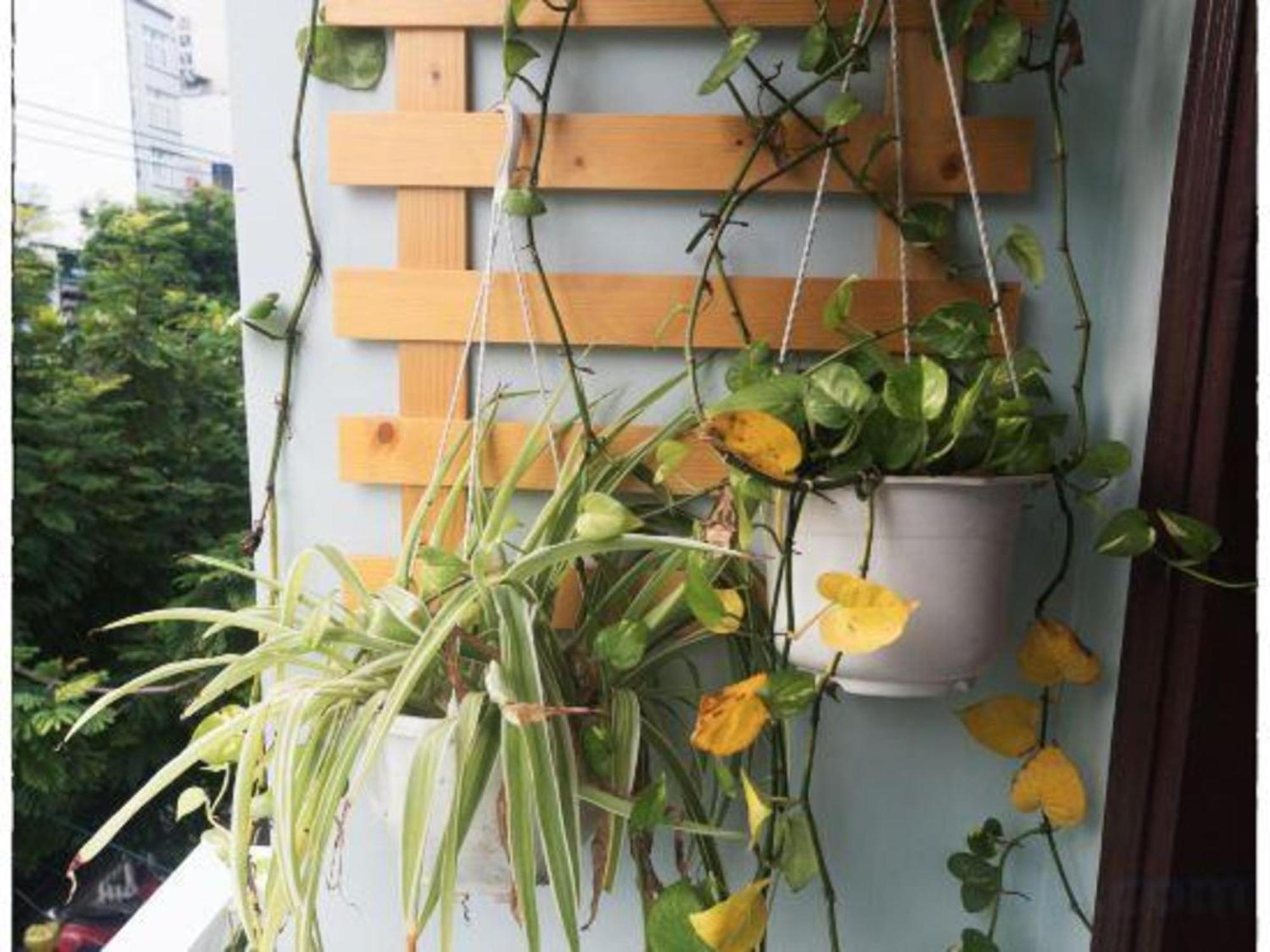 Oyo 1168 Elly'S Home 2 Da Nang Exterior photo